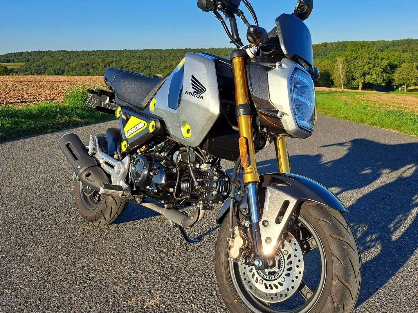 Honda MSX 125 srebrna - 2