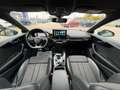 Audi A5 A5 SPB 40 TDI S tronic S line edition Verde - thumbnail 11
