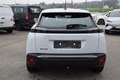 Peugeot 2008 Benzin 100 S&S Style 6-Gang-Manuell Weiß - thumbnail 4