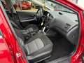 Kia Ceed / cee'd 1.6 GDI Automatik Rot - thumbnail 19
