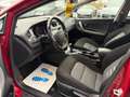 Kia Ceed / cee'd 1.6 GDI Automatik Rot - thumbnail 7