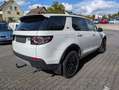 Land Rover Discovery Sport Discovery Sport Diesel TD4 Aut. HSE Weiß - thumbnail 3