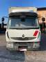 Trucks-Lkw Renault RENAULT TRUCKS 180.12 Extra light euro 5 Bílá - thumbnail 2