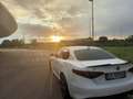 Alfa Romeo Giulia 2.2 t Veloce Q4 210cv awd auto Bianco - thumbnail 3