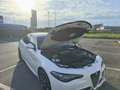 Alfa Romeo Giulia 2.2 t Veloce Q4 210cv awd auto Bianco - thumbnail 9