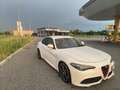 Alfa Romeo Giulia 2.2 t Veloce Q4 210cv awd auto Bianco - thumbnail 11