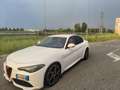 Alfa Romeo Giulia 2.2 t Veloce Q4 210cv awd auto Bianco - thumbnail 4