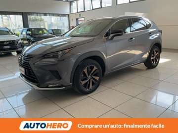 NX 300h Premium E-Four