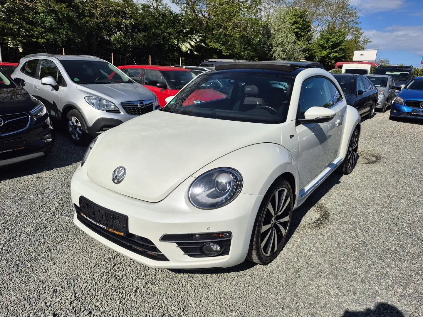Volkswagen Beetle R-Line DSG Automatik*211 PS*Zahnriem Neu Weiß - 1
