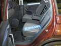 Volkswagen Tiguan 1.5 TSI OPF Life AHK Navi DAB ACC LM18 Braun - thumbnail 5