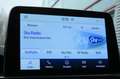 Ford Kuga 1.5 EcoBoost ST-Line | All Season banden | Apple C Grau - thumbnail 17