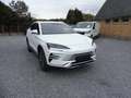 BYD Seal U Boost pHEV 18,3 KWh/nieuw/full options/218pk Blanc - thumbnail 1
