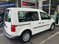 Volkswagen Caddy 2,0 TDI DSG LKW Scheiben Klima Flügeltüren Weiß - thumbnail 4