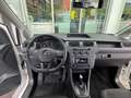 Volkswagen Caddy 2,0 TDI DSG LKW Scheiben Klima Flügeltüren Weiß - thumbnail 7