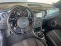 Volkswagen Beetle Lim. Sport*160PS* Argent - thumbnail 8