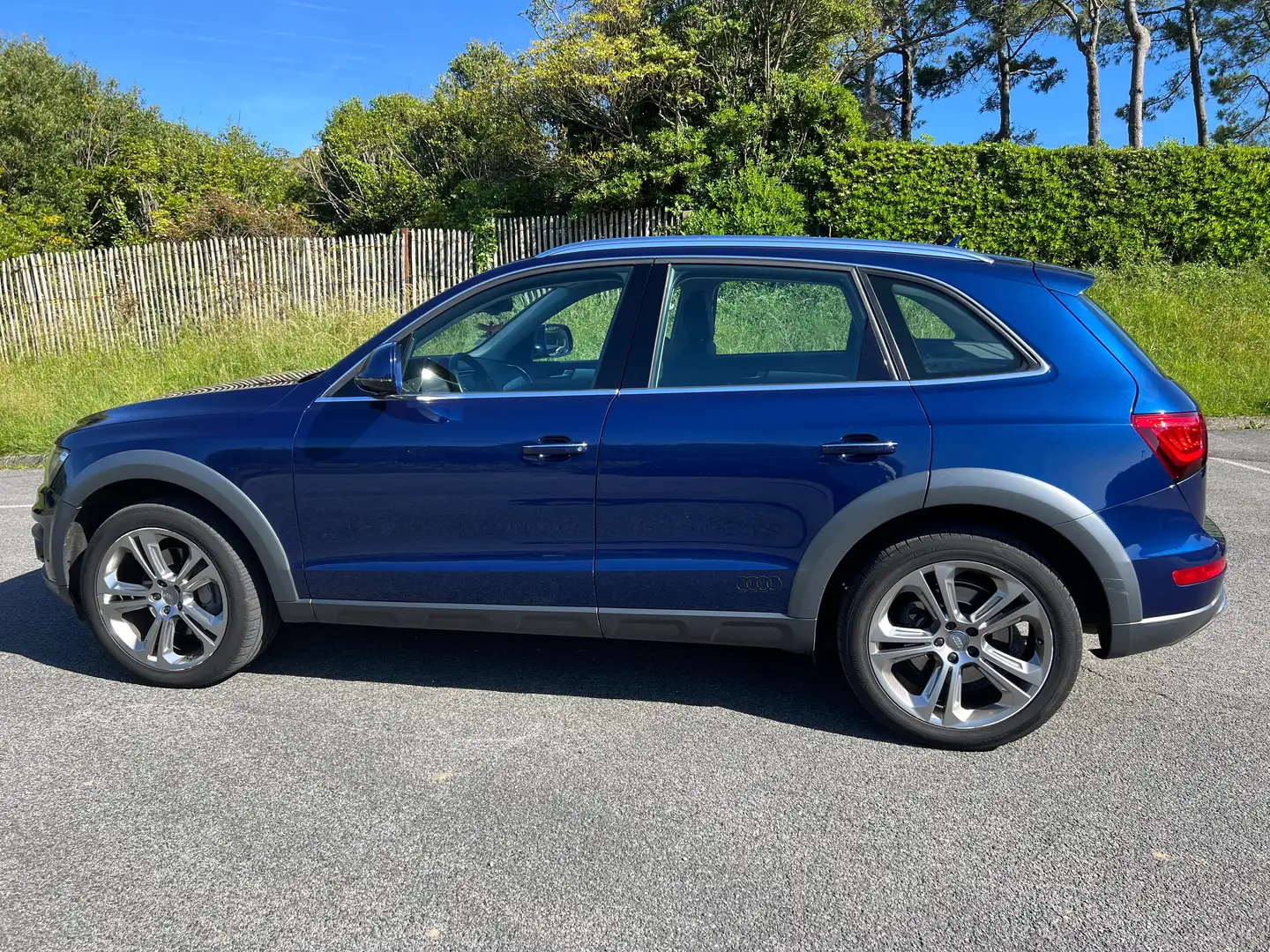 Audi Q5 Q5 V6 3.0 TDI Clean Diesel 258 Quattro  S tronic 7 Bleu - 2