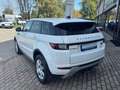 Land Rover Range Rover Evoque 2.0 TD4 150 CV 5p. SE Dynamic IVA ESPOSTA Bianco - thumbnail 9