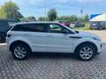 Land Rover Range Rover Evoque 2.0 TD4 150 CV 5p. SE Dynamic IVA ESPOSTA Bianco - thumbnail 5