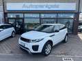 Land Rover Range Rover Evoque 2.0 TD4 150 CV 5p. SE Dynamic IVA ESPOSTA Bianco - thumbnail 1