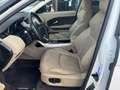 Land Rover Range Rover Evoque 2.0 TD4 150 CV 5p. SE Dynamic IVA ESPOSTA Bianco - thumbnail 12