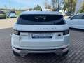 Land Rover Range Rover Evoque 2.0 TD4 150 CV 5p. SE Dynamic IVA ESPOSTA Bianco - thumbnail 7