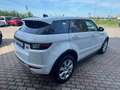 Land Rover Range Rover Evoque 2.0 TD4 150 CV 5p. SE Dynamic IVA ESPOSTA Bianco - thumbnail 6