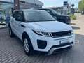 Land Rover Range Rover Evoque 2.0 TD4 150 CV 5p. SE Dynamic IVA ESPOSTA Bianco - thumbnail 4