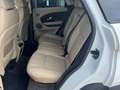 Land Rover Range Rover Evoque 2.0 TD4 150 CV 5p. SE Dynamic IVA ESPOSTA Bianco - thumbnail 13