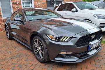 Fastback 2.3 EcoBoost Aut.