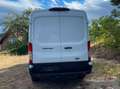 Ford Transit Transit Variobus 2,0 EcoBlue L2H2 350 Trend Trend Weiß - thumbnail 6