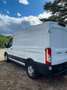 Ford Transit Transit Variobus 2,0 EcoBlue L2H2 350 Trend Trend Weiß - thumbnail 5