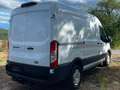 Ford Transit Transit Variobus 2,0 EcoBlue L2H2 350 Trend Trend Weiß - thumbnail 4