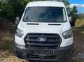 Ford Transit Transit Variobus 2,0 EcoBlue L2H2 350 Trend Trend Weiß - thumbnail 1