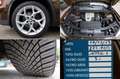 BMW X1 xDrive20d X-Line Automatica Navi PRO Pelle Xenon + Marrone - thumbnail 14