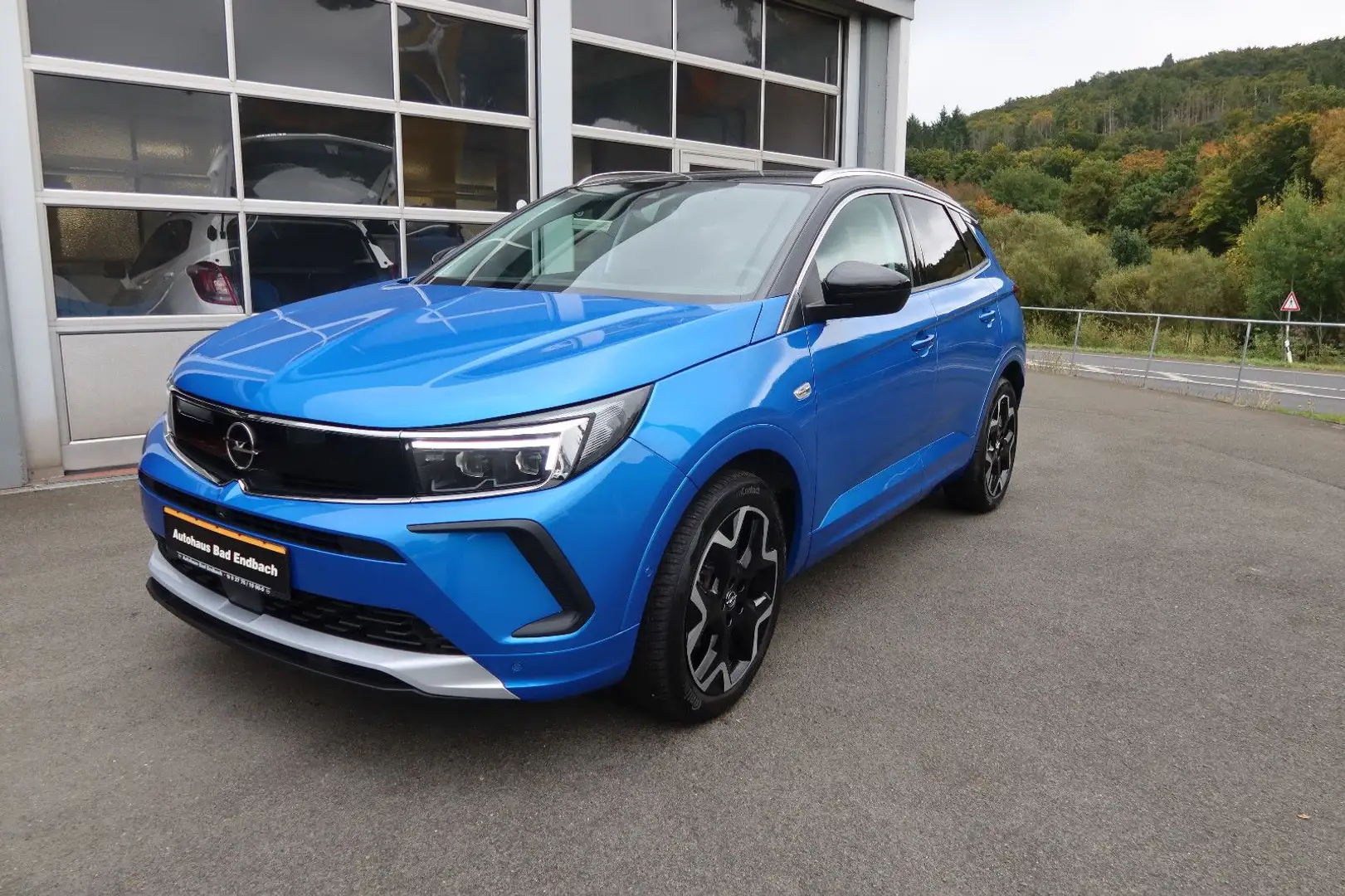Opel Grandland X Grandland Ultimate Blau - 1