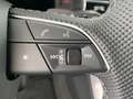 Audi Q7 55 TFSI e quattro S line 290 kW Grau - thumbnail 14