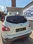 Nissan Qashqai+2 360* KUNDENAUFTRAG* Alb - thumbnail 4
