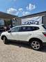 Nissan Qashqai+2 360* KUNDENAUFTRAG* Alb - thumbnail 3