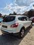 Nissan Qashqai+2 360* KUNDENAUFTRAG* Alb - thumbnail 5