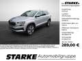Skoda Karoq 1.5 TSI DSG Selection Silber - thumbnail 1