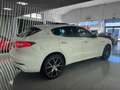 Maserati Levante V6 275 HP D AWD Blanco - thumbnail 4