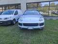 Porsche Cayenne 3.0 Platinum Edition tiptronic Grijs - thumbnail 2