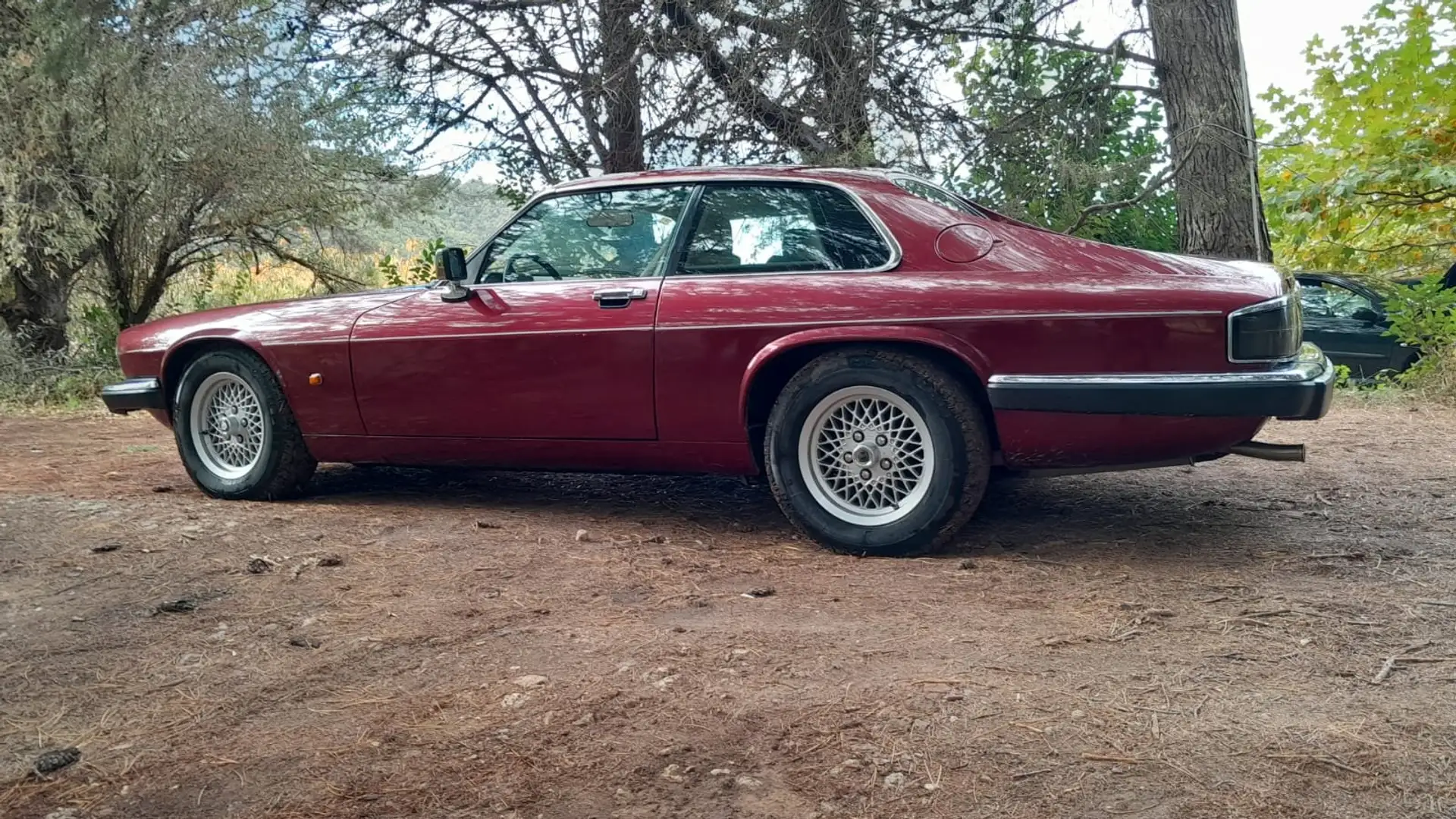 Jaguar XJS 4.0 Фіолетовий - 1