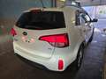 Kia Sorento 2.0i 4WD Sense . exclusivement hors Europe. Blanc - thumbnail 4