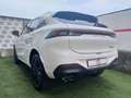 Forthing T5 Evo FRIDAY 1.5 BENZ/GPL  PROMO FINANZ. GARANZIA 5 ANNI Bianco - thumbnail 11