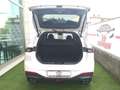 Forthing T5 Evo FRIDAY 1.5 BENZ/GPL  PROMO FINANZ. GARANZIA 5 ANNI Bianco - thumbnail 13