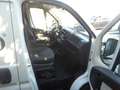 Fiat Ducato MAXI 35 XL H3 2.3 Multijet 130CV - FN570LW Blanc - thumbnail 3