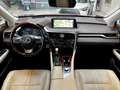 Lexus RX 450h h LUXURY-HEAD UP-ASSIS. PLUS P.-20.990,- Rouge - thumbnail 8