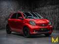 smart forFour prime turbo DCT|SPORT|PANO|NAVI|JBL|RFK Rot - thumbnail 3