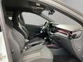 Skoda Fabia Monte Carlo (Navi.Kamera.beheiz.Lenkrad) 1.0 TSI D Weiß - thumbnail 7